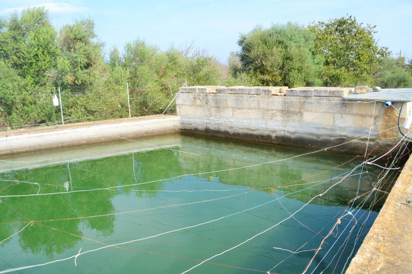 Parcela-Sa-Rata-Buger-10-5b1b0b Land In Búger, Spain (230 M²)