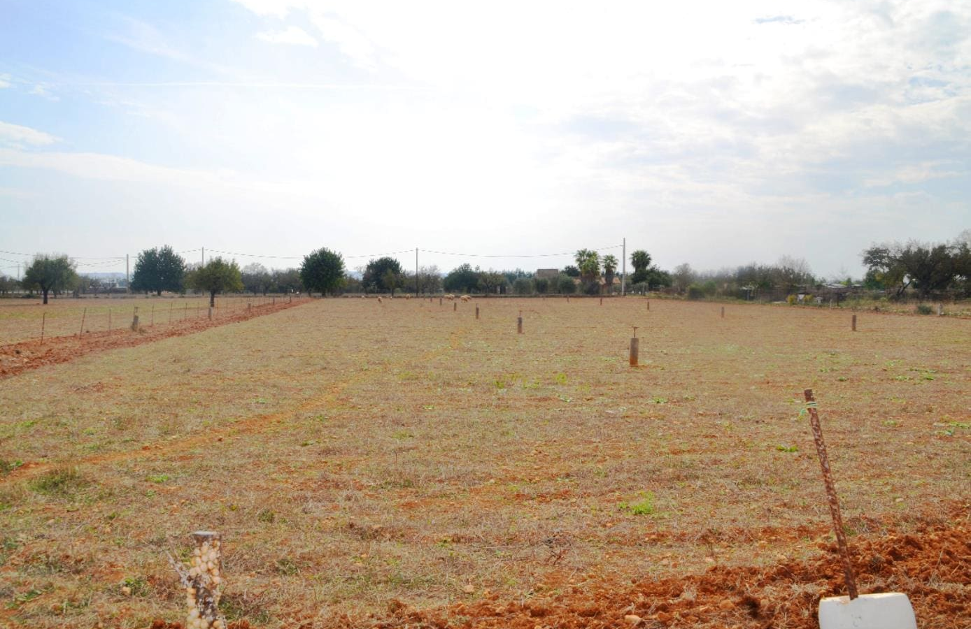 Land In Búger, Spain (230 M²)