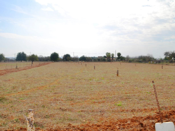 Land In Búger, Spain (230 M²)