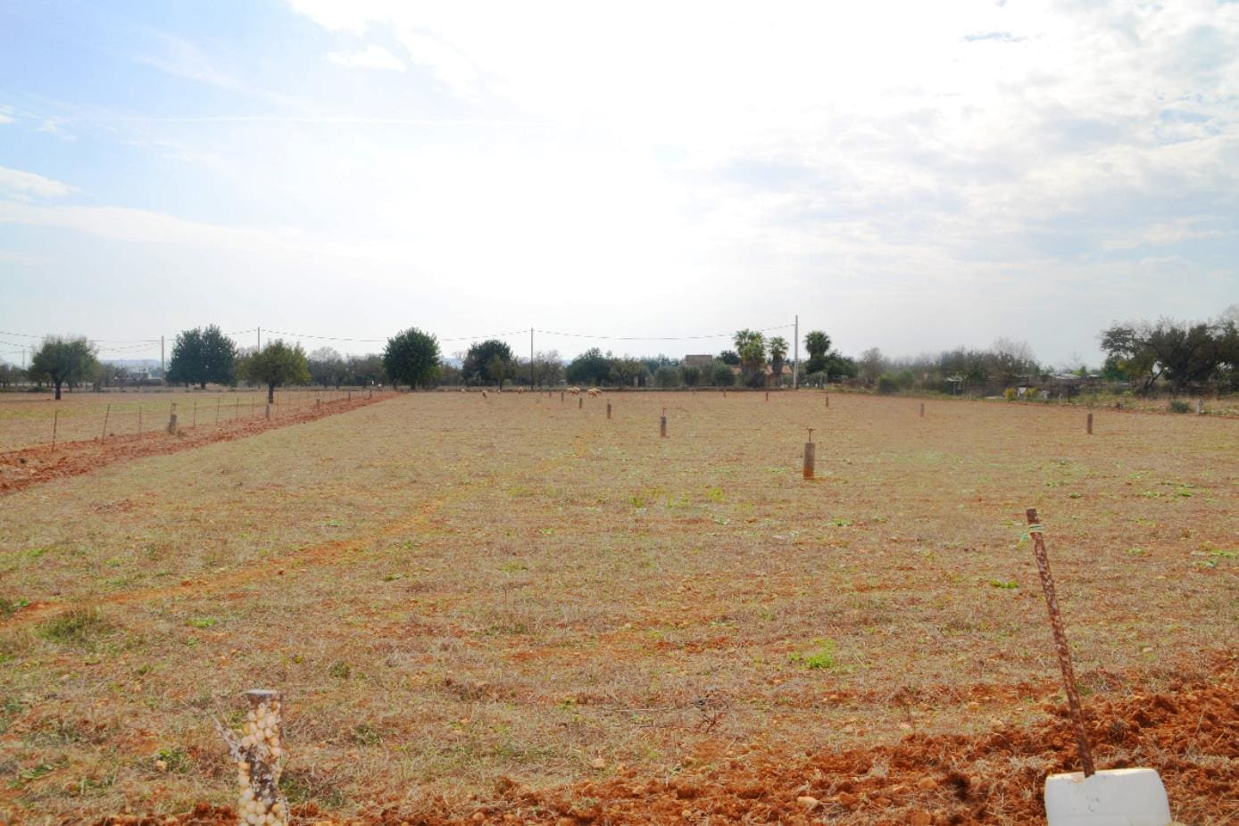 Parcela-Sa-Rata-Buger-12-cc89c9 Land In Búger, Spain (230 M²)