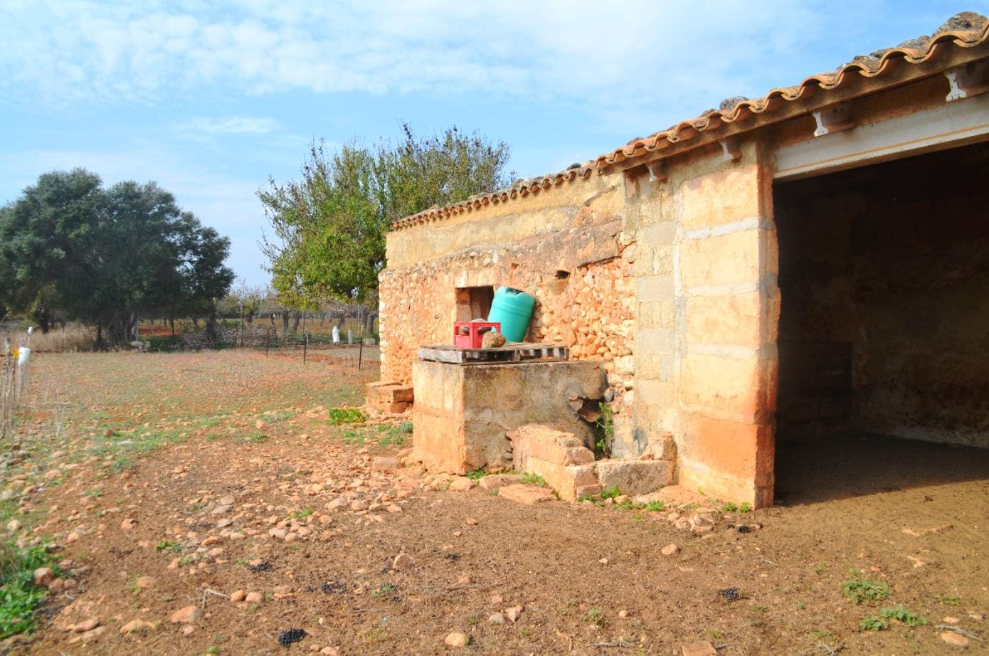 Parcela-Sa-Rata-Buger-3-38c4c1 Land In Búger, Spain (230 M²)