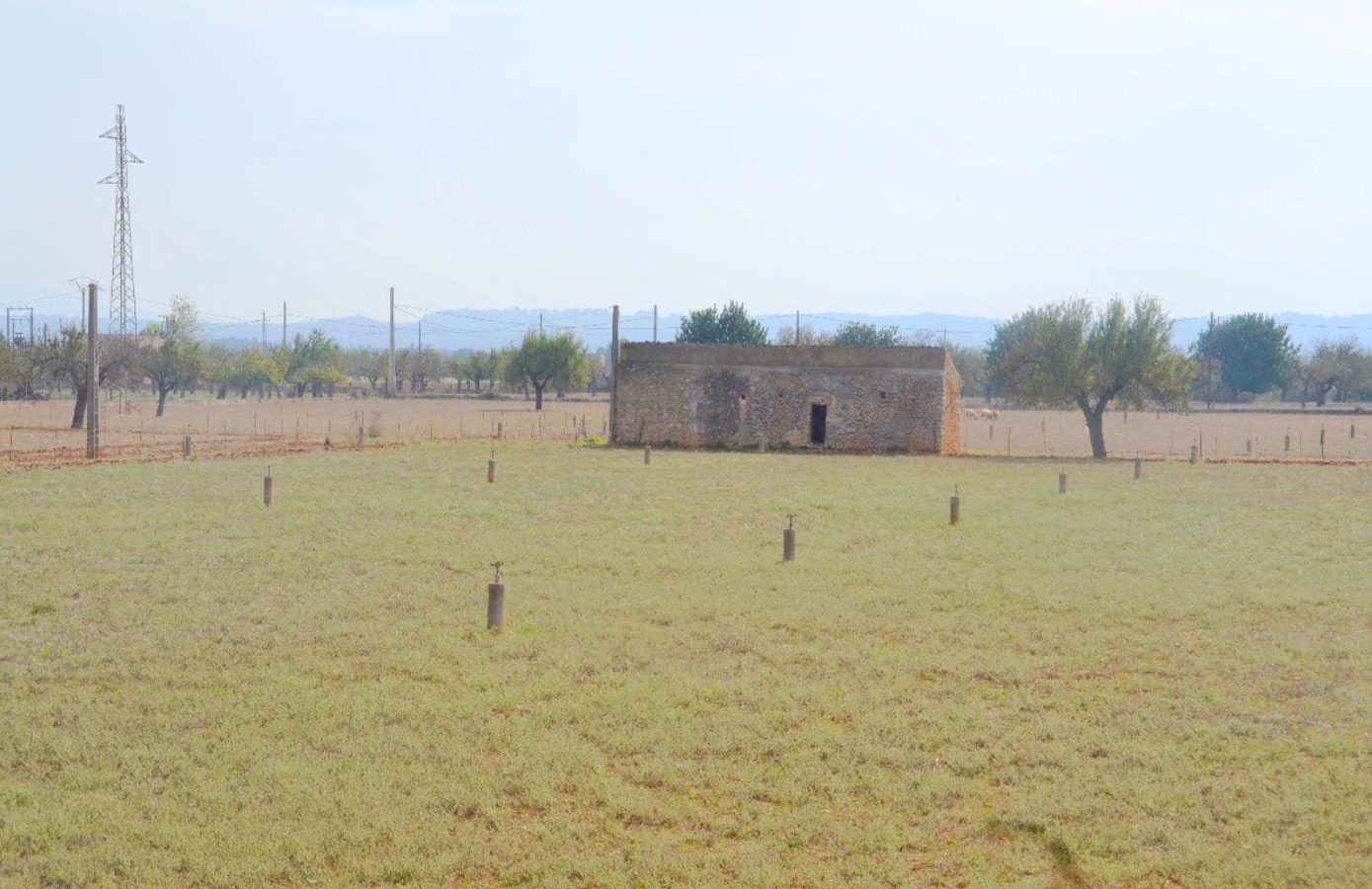 Land In Búger, Spain (230 M²)