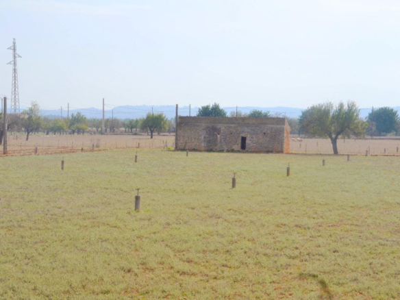 Land In Búger, Spain (230 M²)