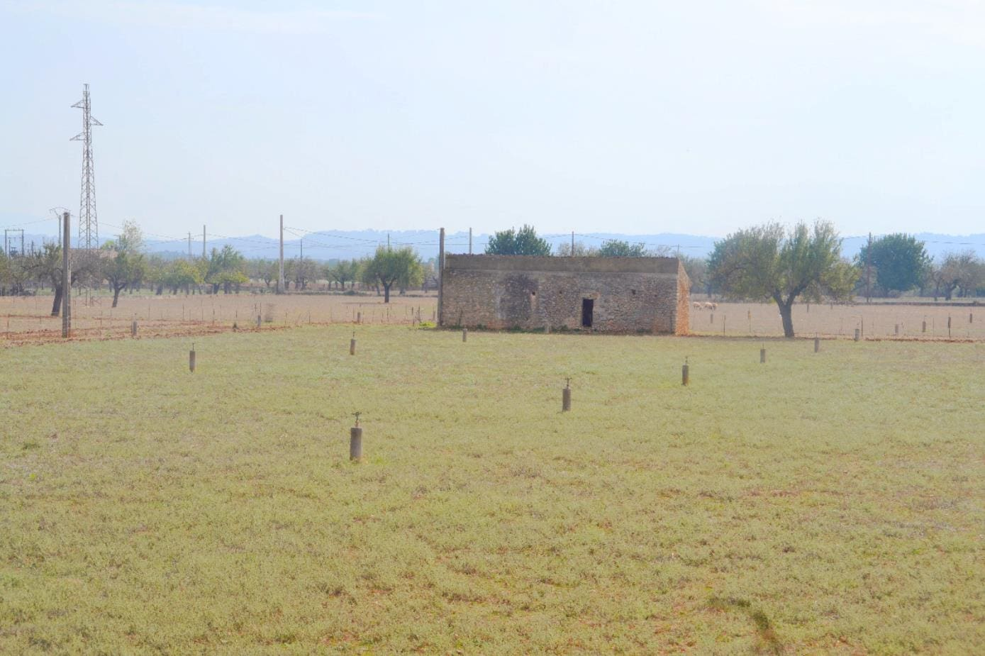 Parcela-Sa-Rata-Buger-4-1e6f49 Land In Búger, Spain (230 M²)