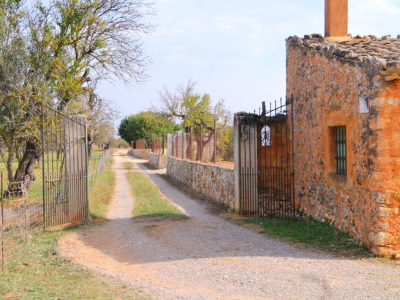 Land In Búger, Spain (230 M²)