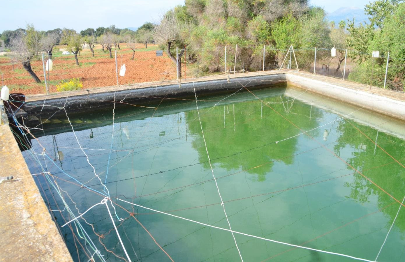 Land In Búger, Spain (230 M²)