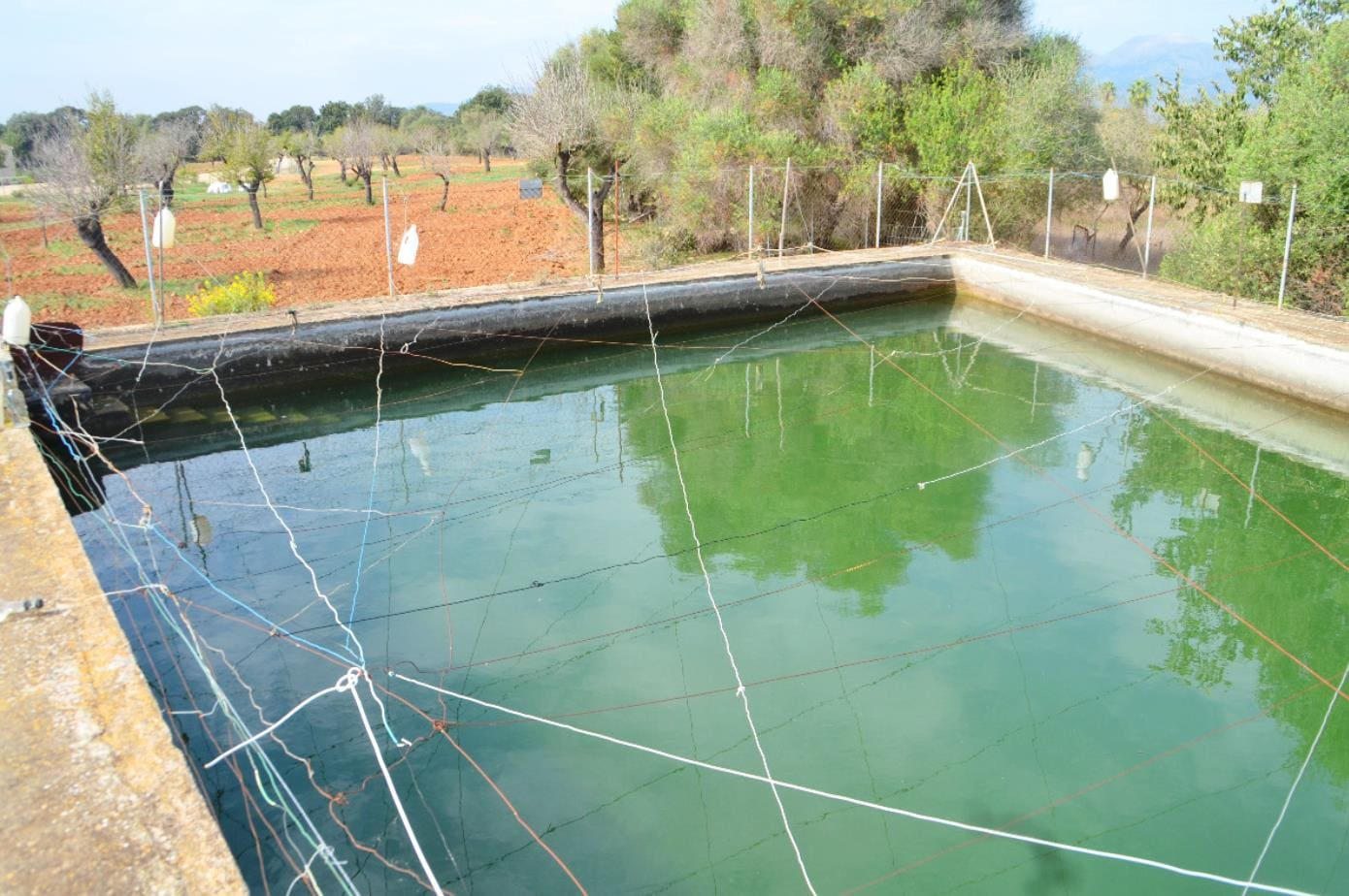 Parcela-Sa-Rata-Buger-9-ae3b0b Land In Búger, Spain (230 M²)