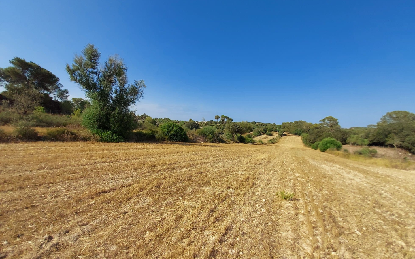 Land In Sineu, Spain (12.759 M² Plot)
