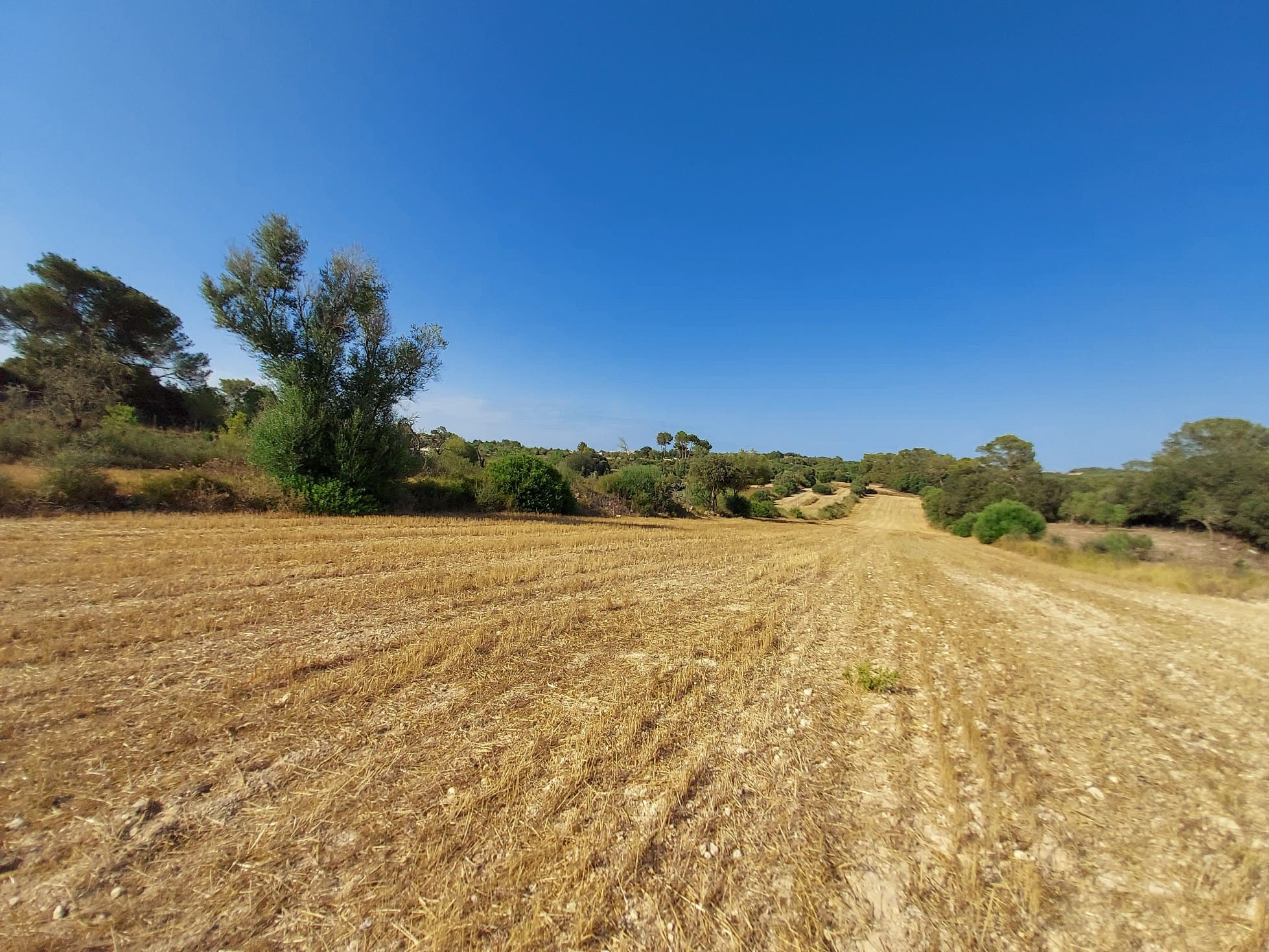 Parcela-Sineu-1-1db2b6 Land In Sineu, Spain (12.759 M² Plot)