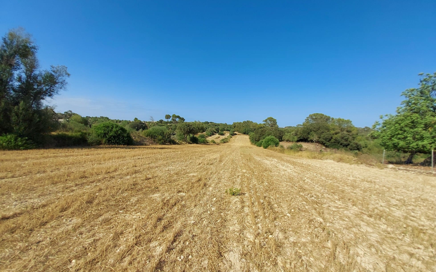 Land In Sineu, Spain (12.759 M² Plot)