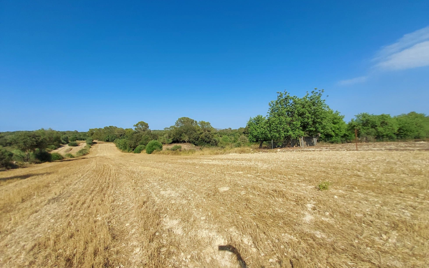 Land In Sineu, Spain (12.759 M² Plot)
