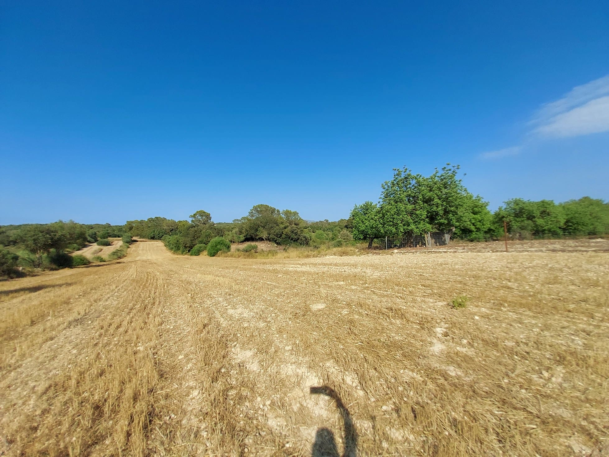 Parcela-Sineu-3-7d4d35 Land In Sineu, Spain (12.759 M² Plot)