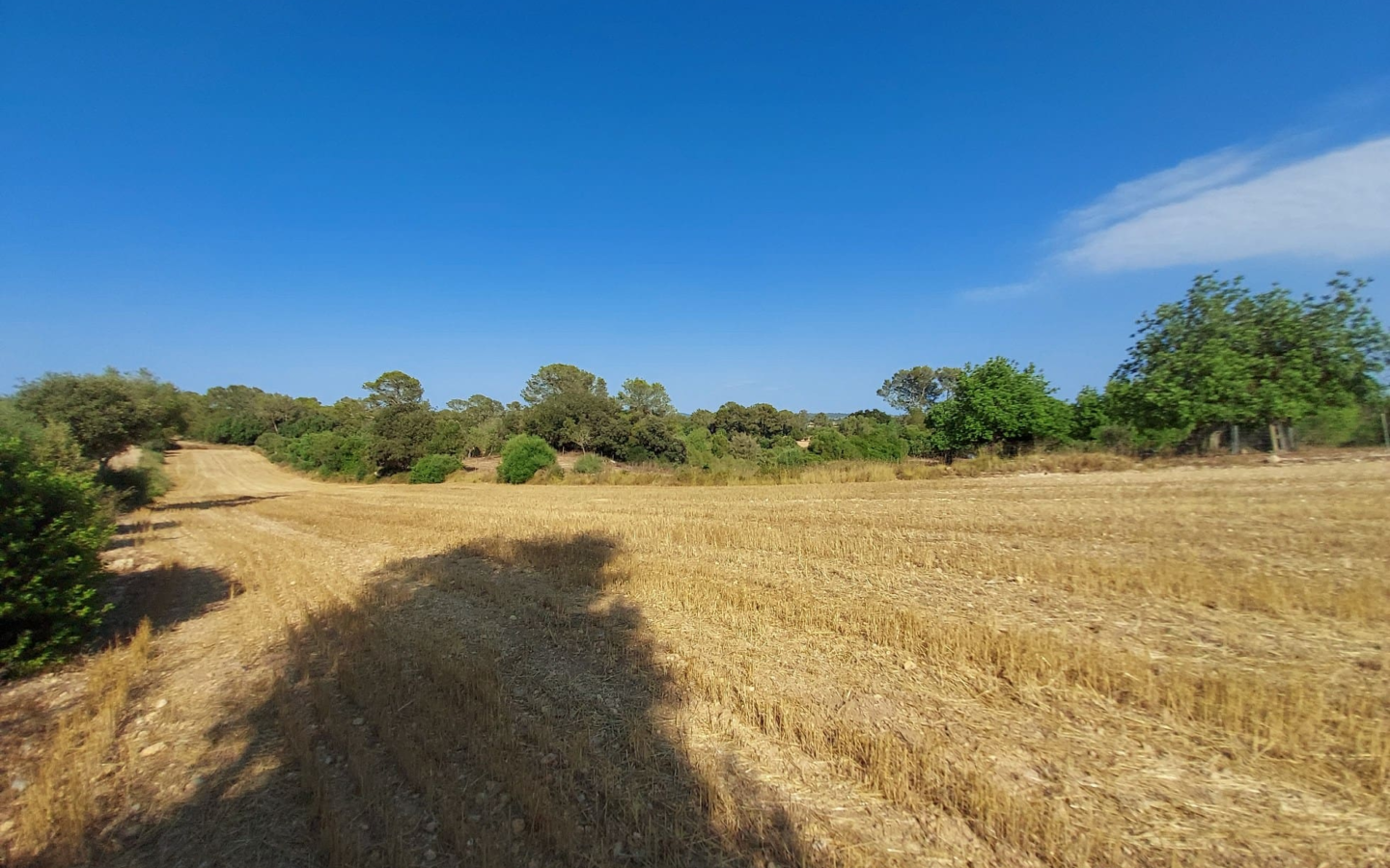 Land In Sineu, Spain (12.759 M² Plot)