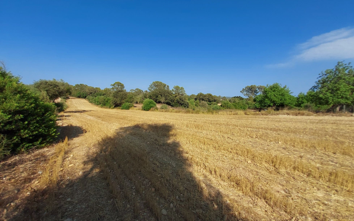 Land In Sineu, Spain (12.759 M² Plot)
