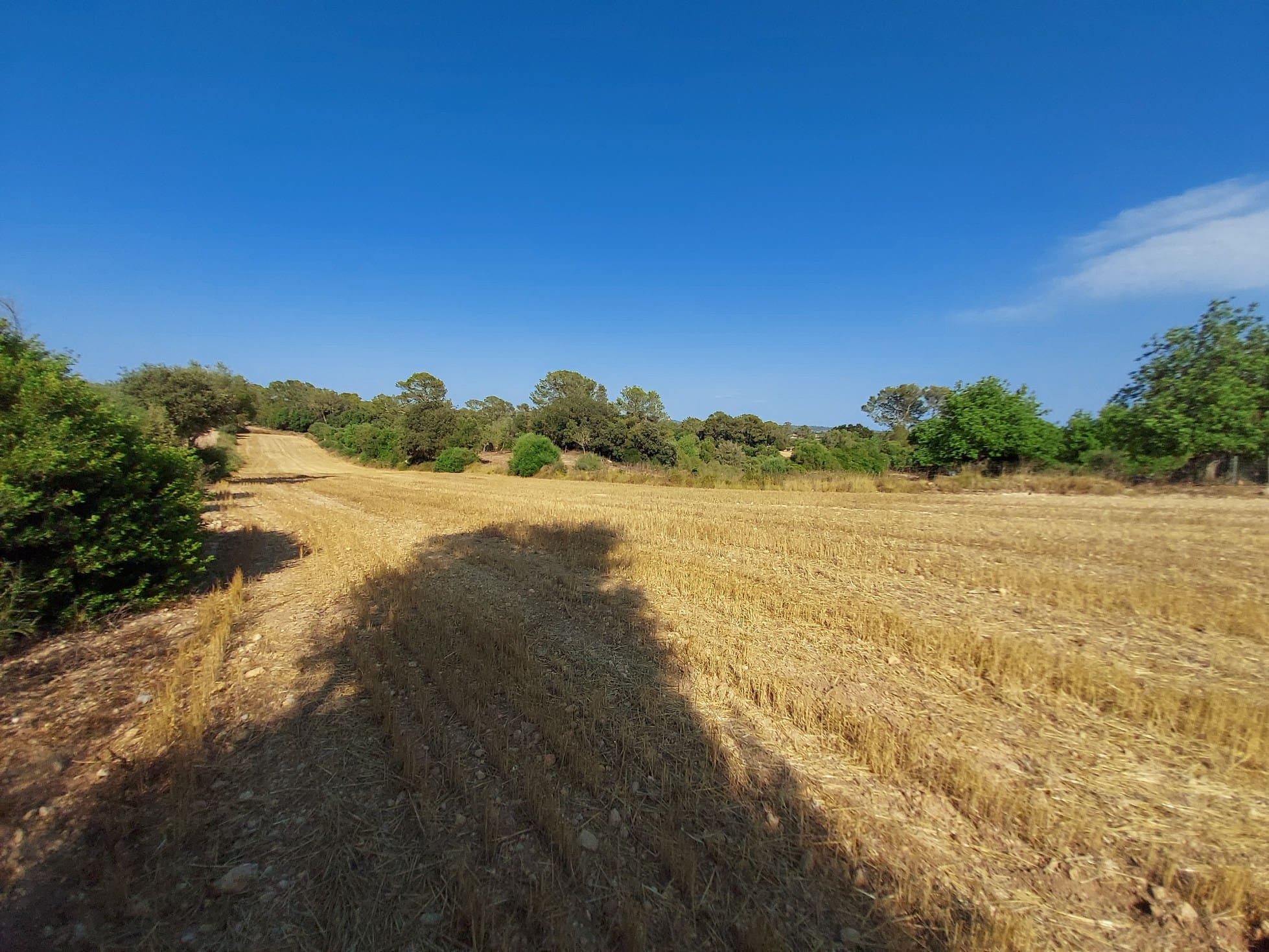 Parcela-Sineu-5-2dffcb Land In Sineu, Spain (12.759 M² Plot)