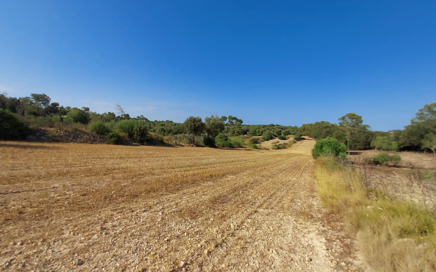 Land In Sineu, Spain (12.759 M² Plot)