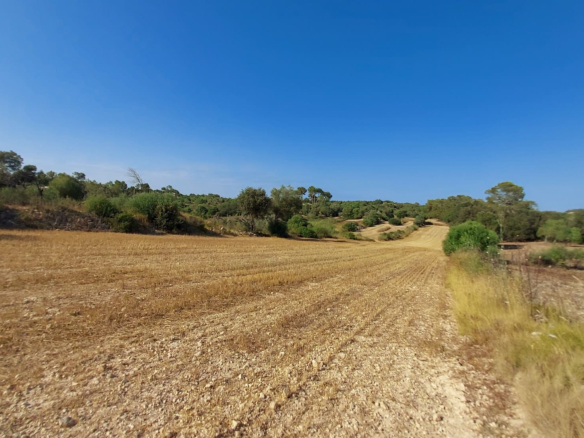 Land In Sineu, Spain (12.759 M² Plot)