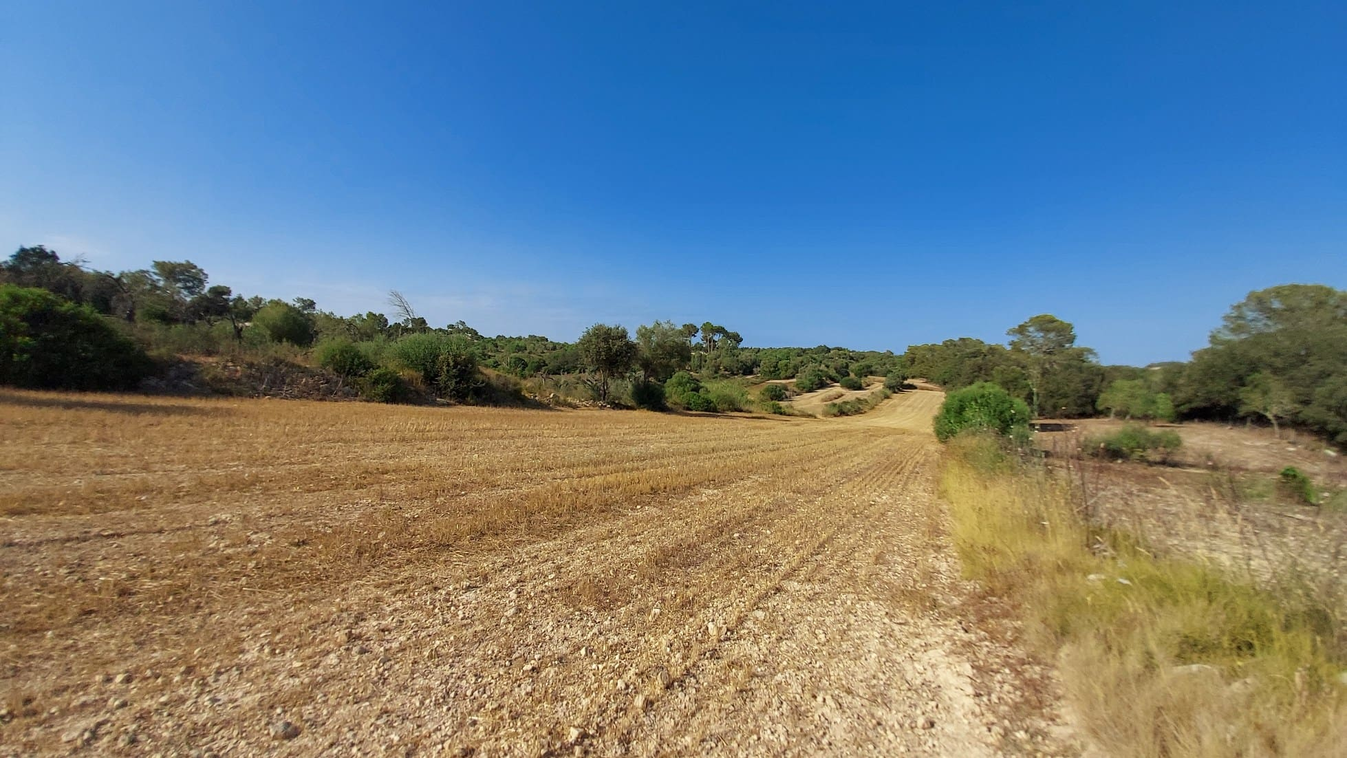 Parcela-Sineu-6-aa75fb Land In Sineu, Spain (12.759 M² Plot)