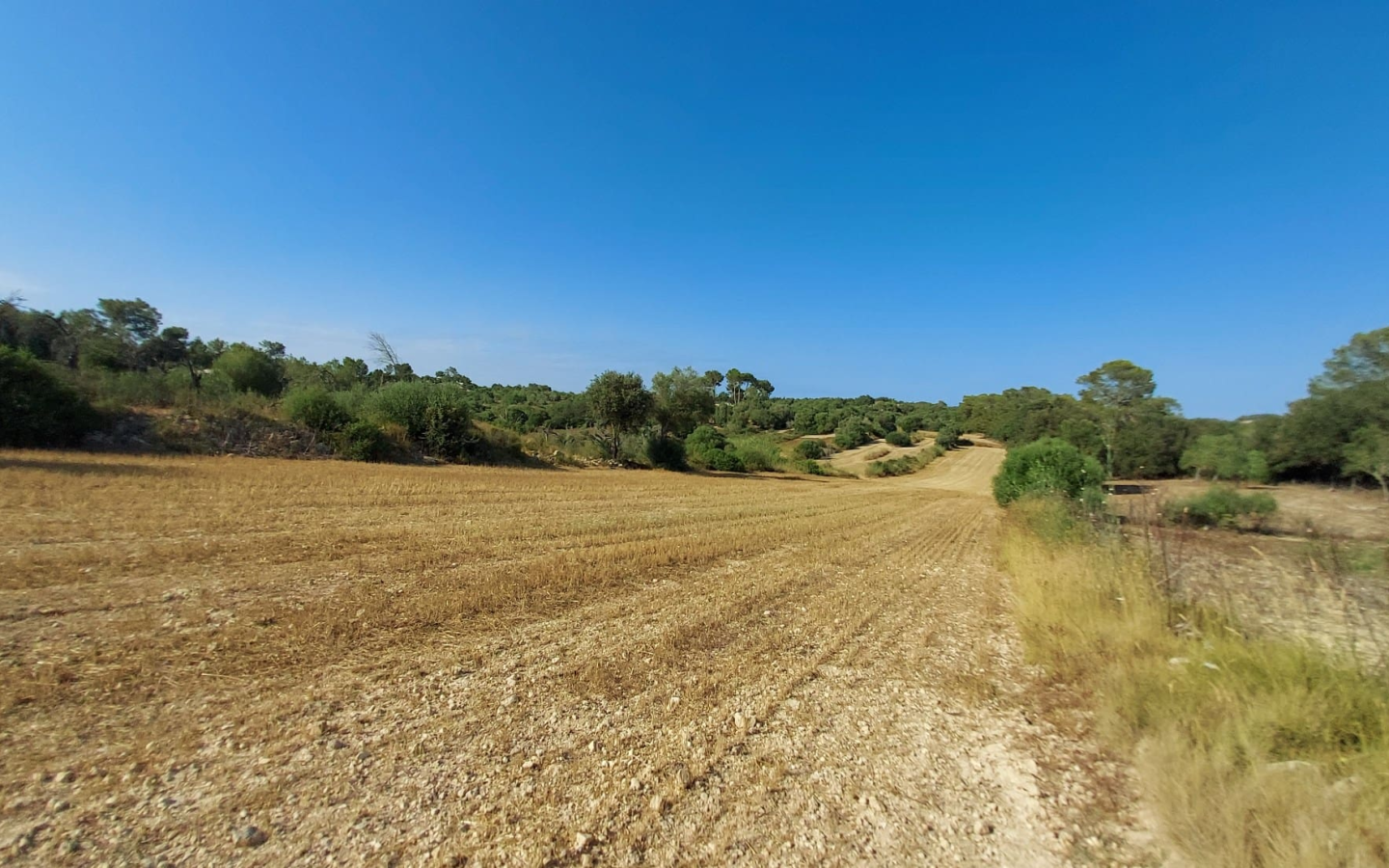 Land In Sineu, Spain (12.759 M² Plot)