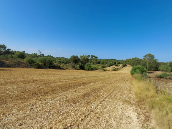 Land In Sineu, Spain (12.759 M² Plot)