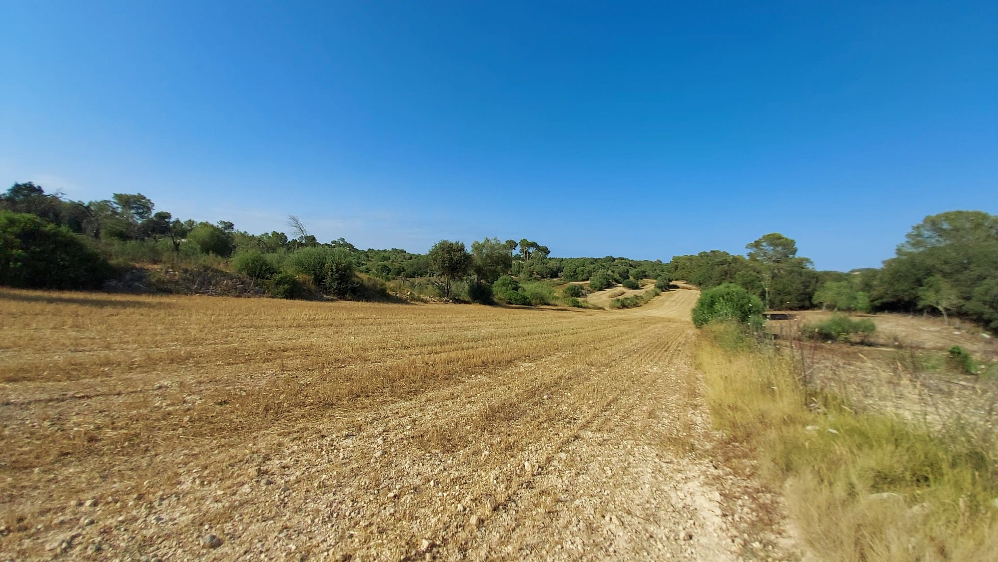 Parcela-Sineu-7-8a4057 Land In Sineu, Spain (12.759 M² Plot)