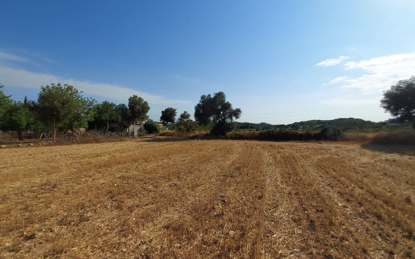 Land In Sineu, Spain (12.759 M² Plot)