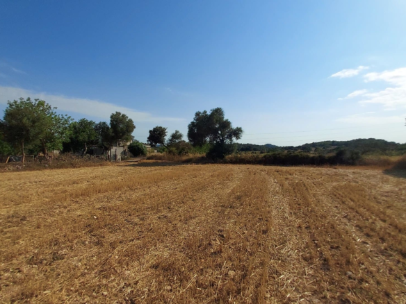 Land In Sineu, Spain (12.759 M² Plot)