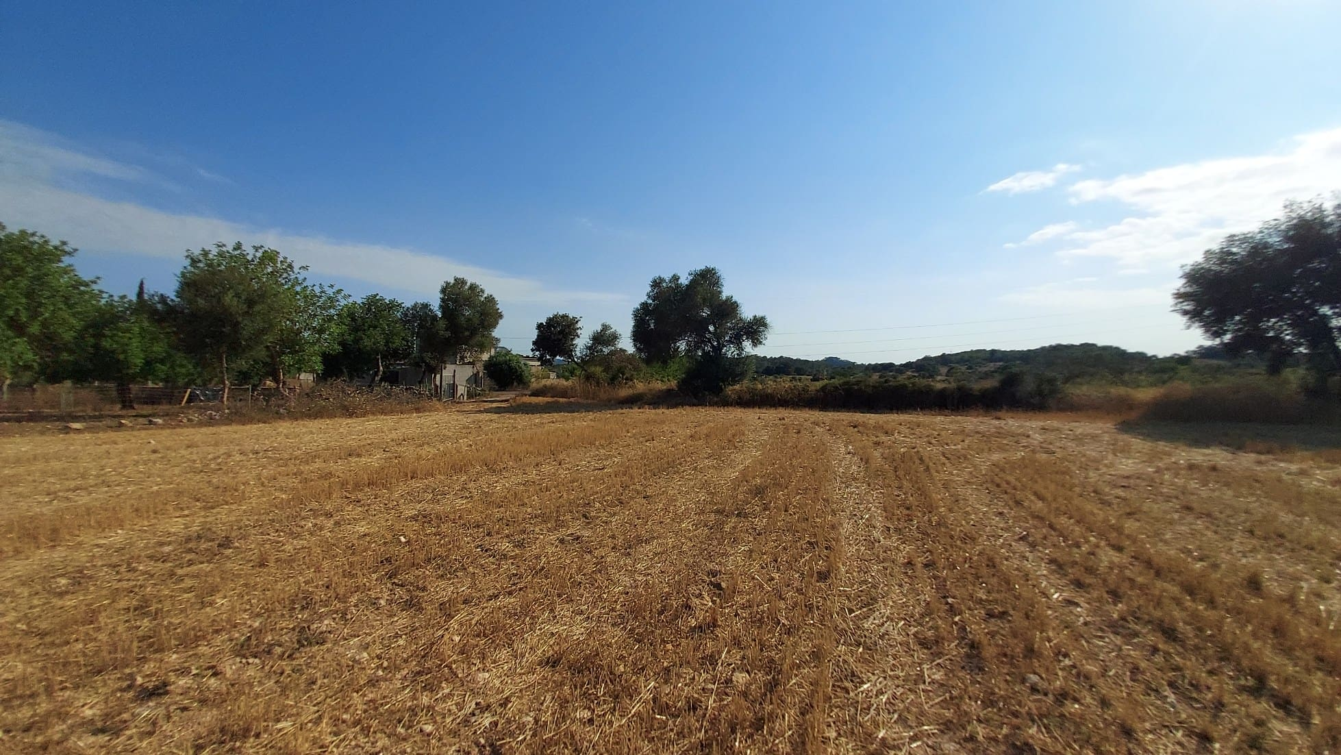 Parcela-Sineu-8-378045 Land In Sineu, Spain (12.759 M² Plot)