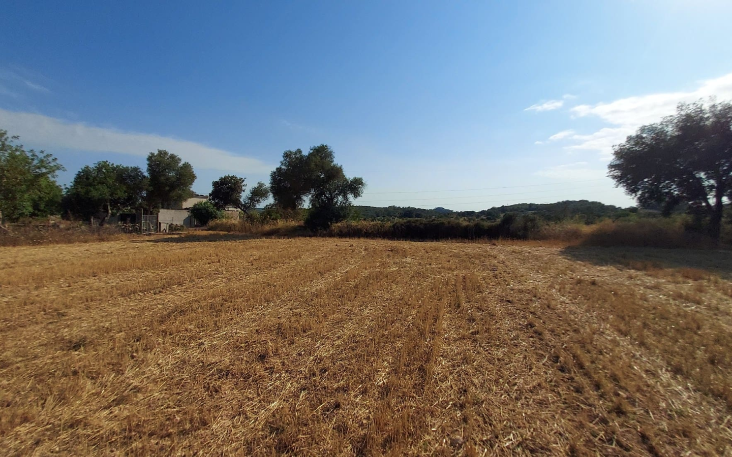 Land In Sineu, Spain (12.759 M² Plot)