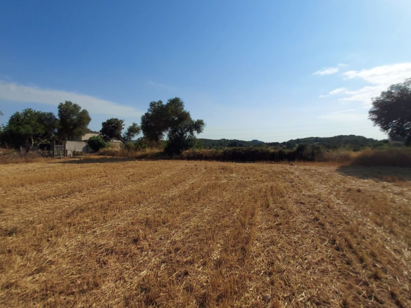 Land In Sineu, Spain (12.759 M² Plot)
