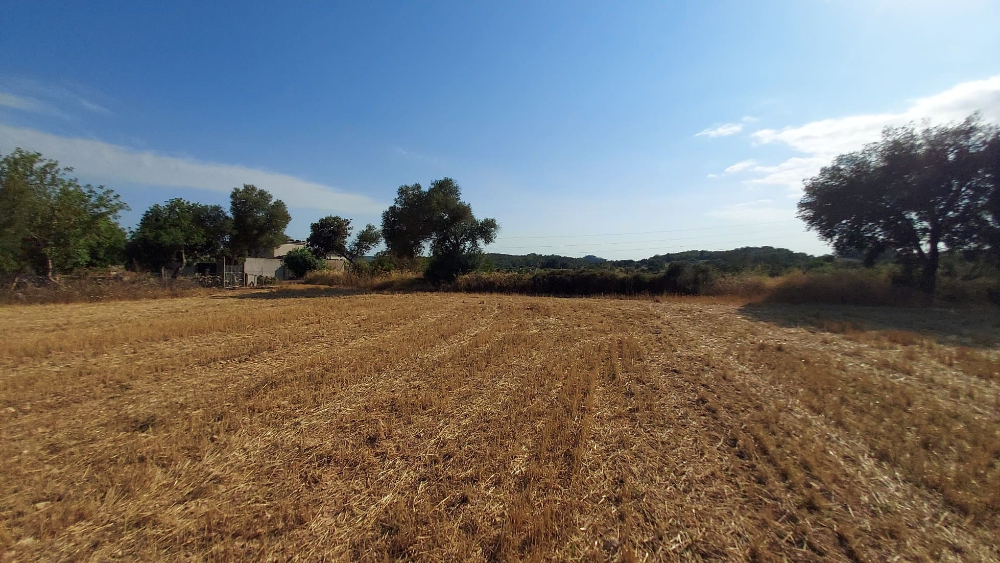 Parcela-Sineu-9-948a80 Land In Sineu, Spain (12.759 M² Plot)
