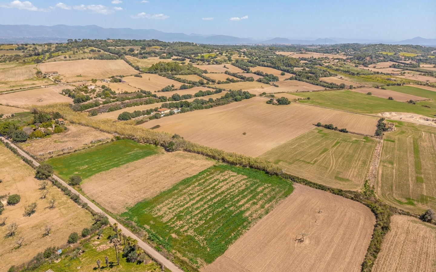 Land In Llubi, Spain (80 M²)