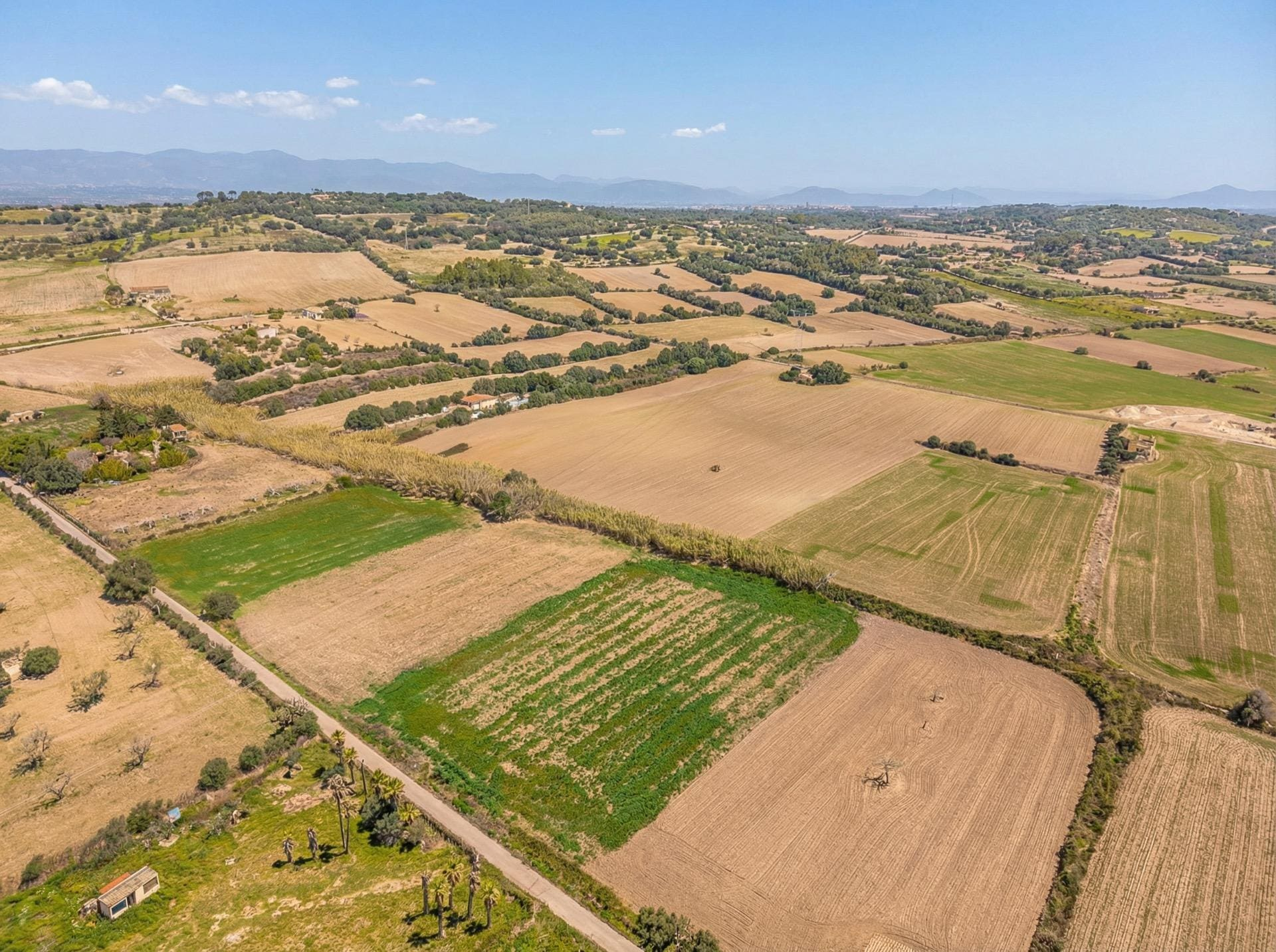 Land In Llubi, Spain (80 M²)