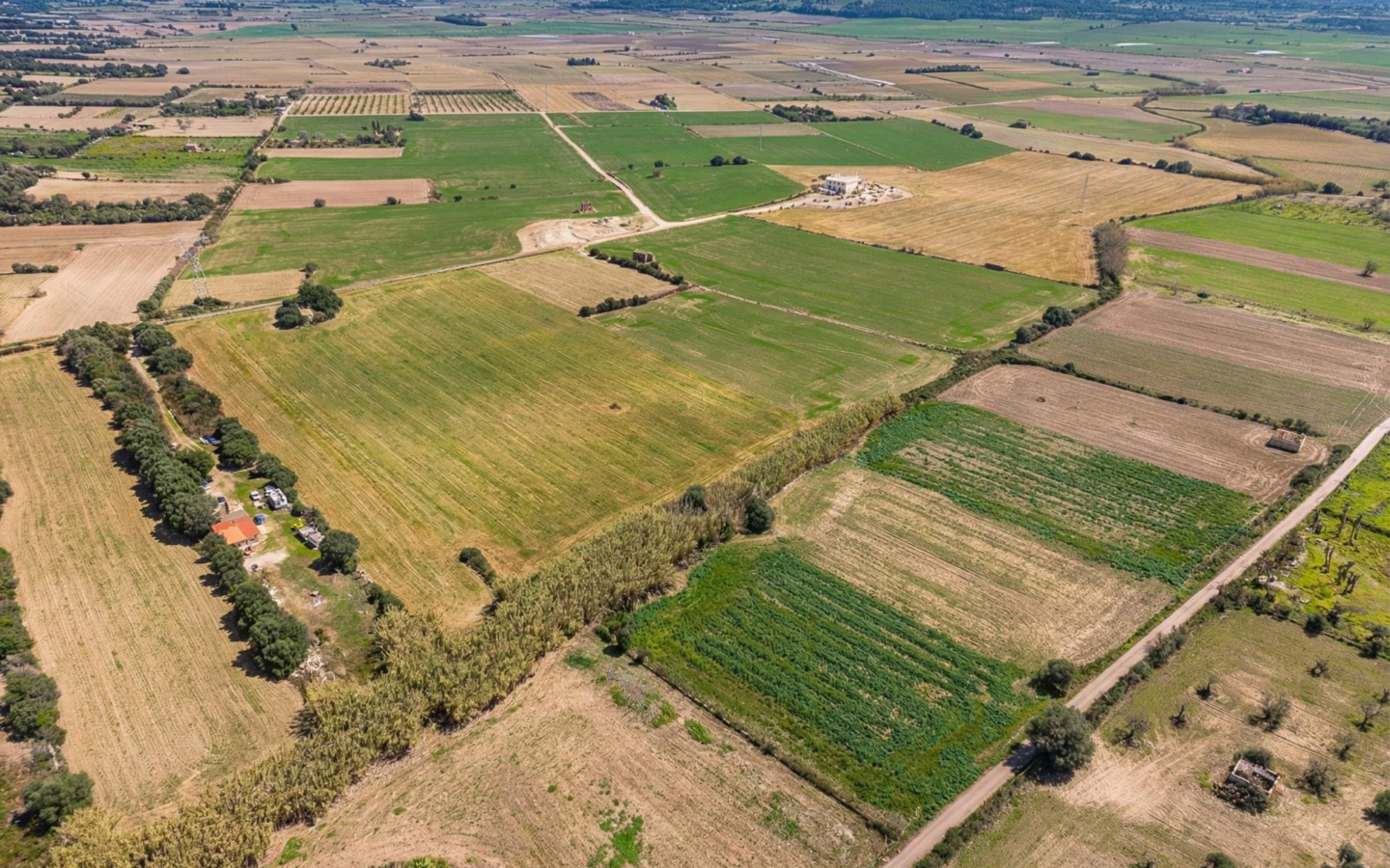 Land In Llubi, Spain (80 M²)