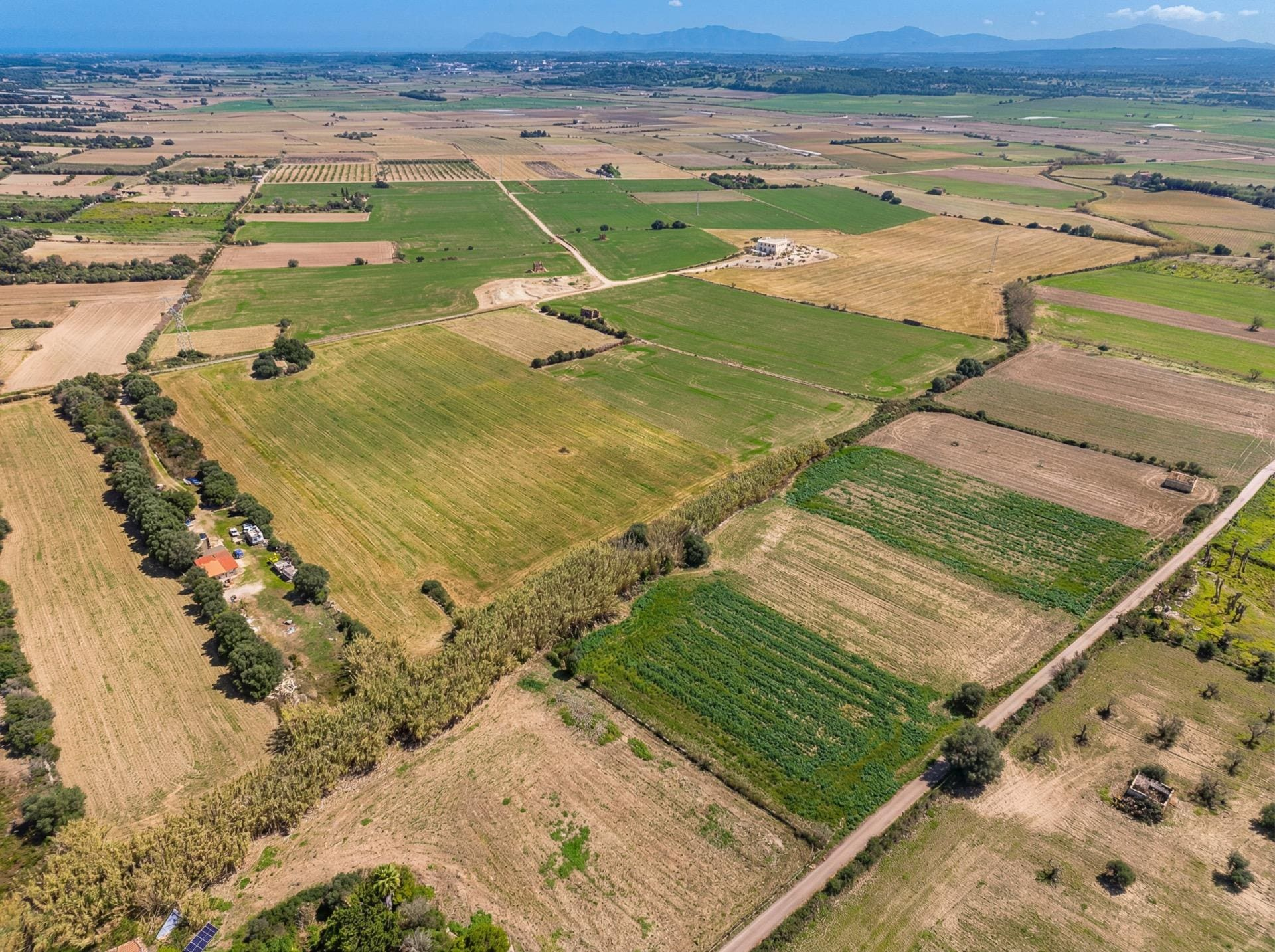Land In Llubi, Spain (80 M²)