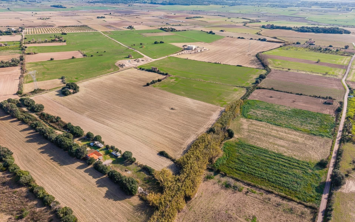 Land In Llubi, Spain (80 M²)