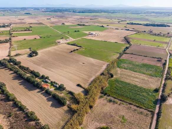 Land In Llubi, Spain (80 M²)