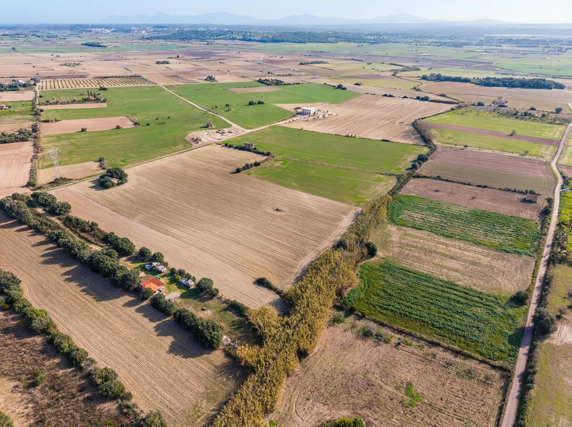 Land In Llubi, Spain (80 M²)