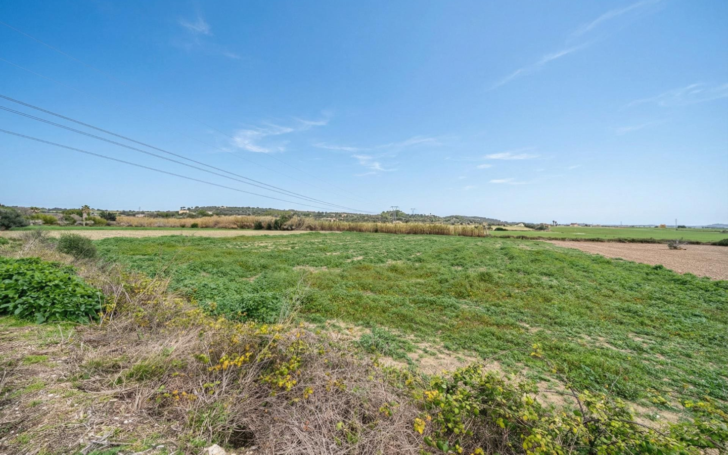 Land In Llubi, Spain (80 M²)