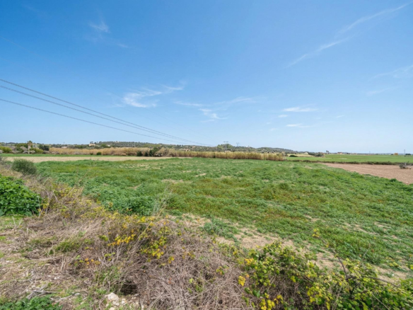 Land In Llubi, Spain (80 M²)