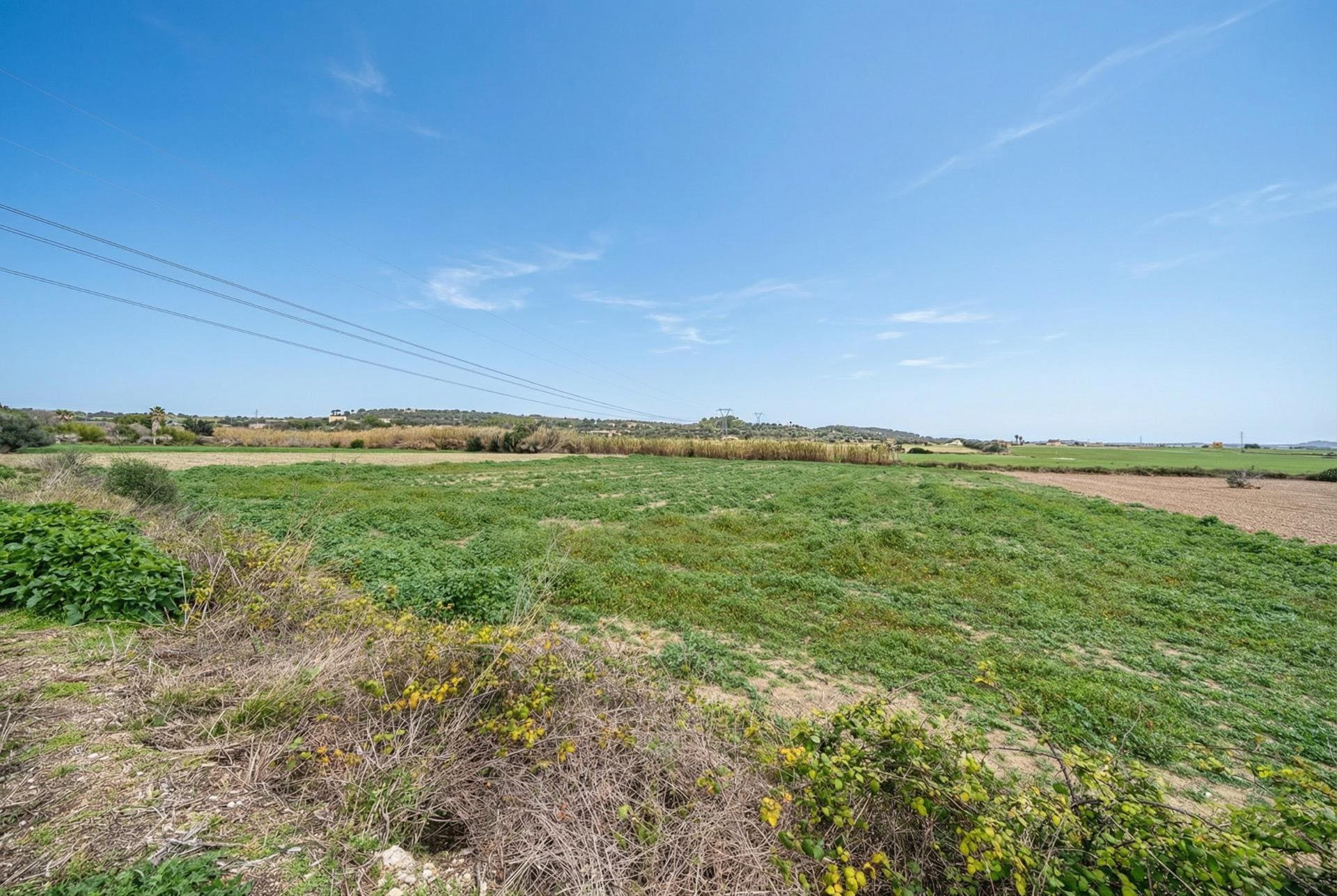 Land In Llubi, Spain (80 M²)