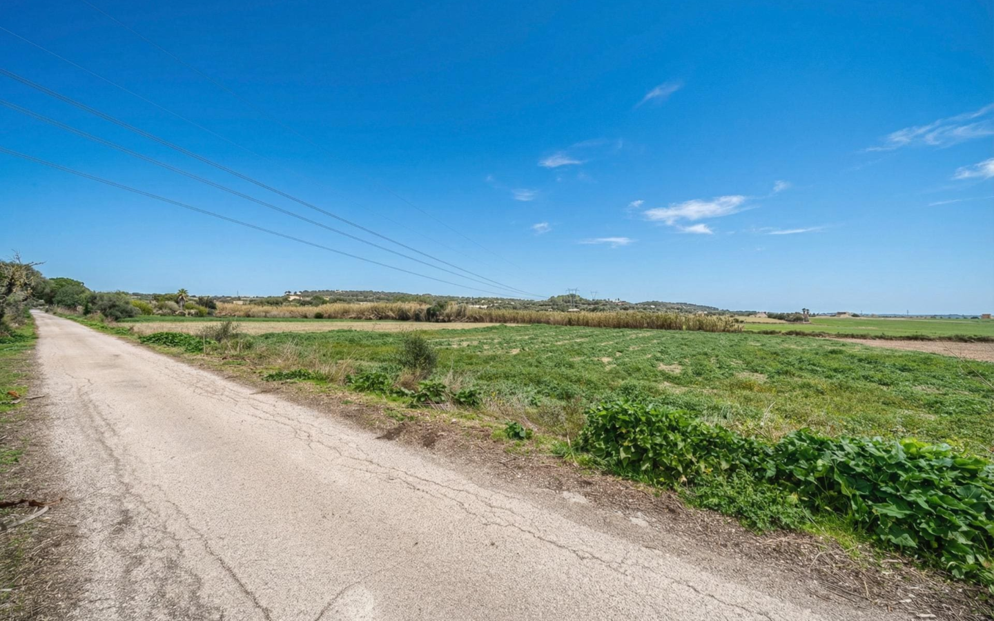 Land In Llubi, Spain (80 M²)