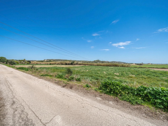Land In Llubi, Spain (80 M²)