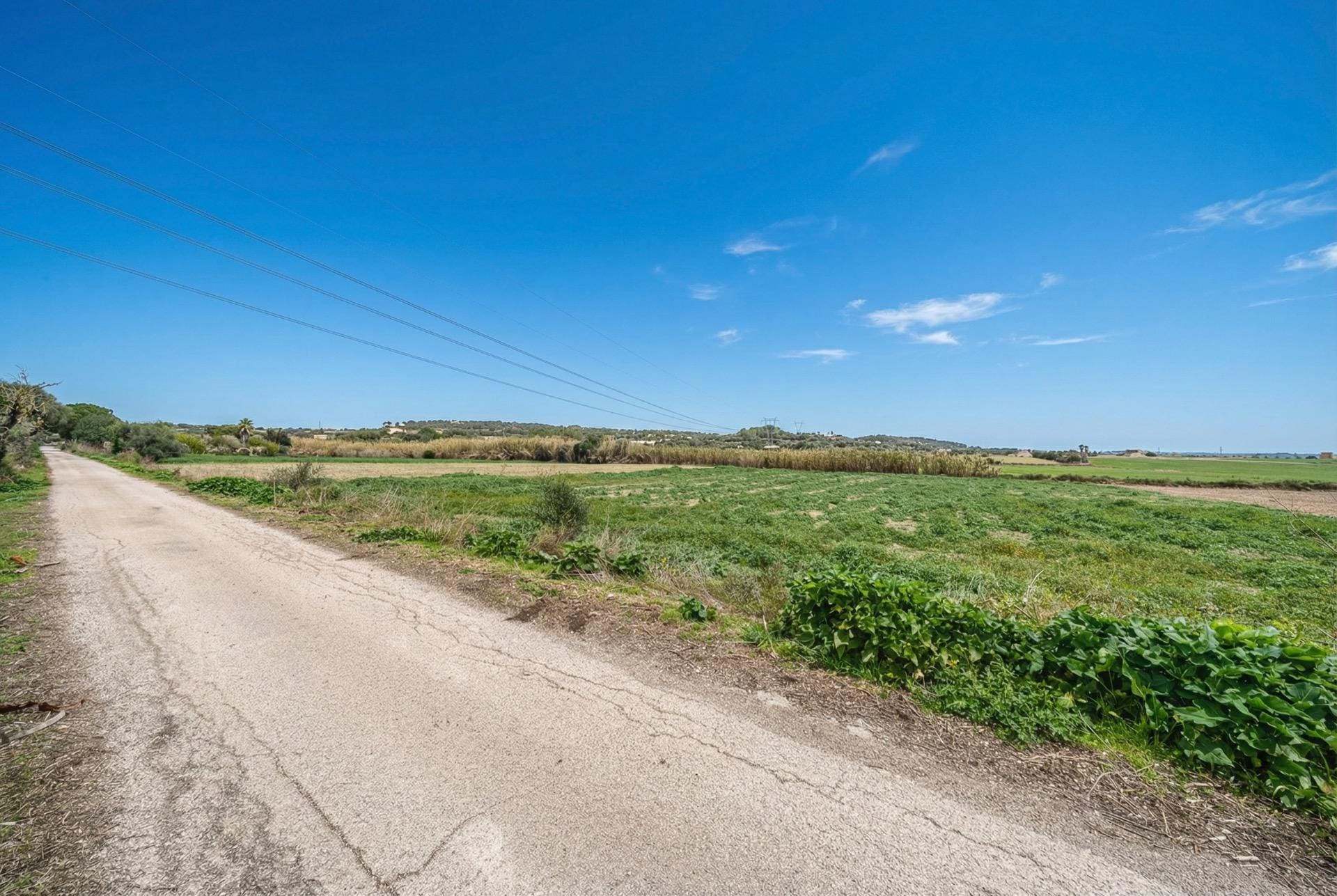 Land In Llubi, Spain (80 M²)