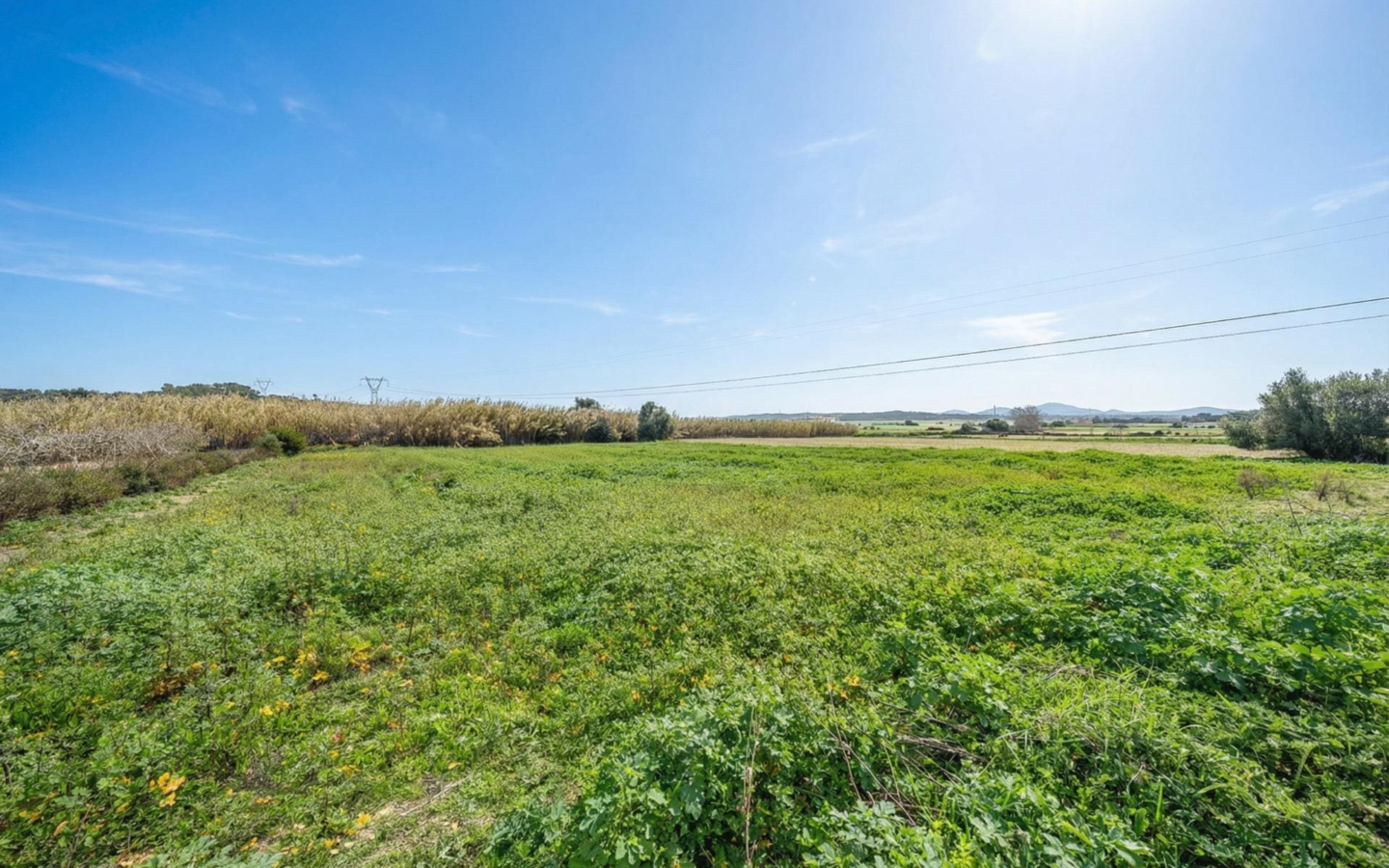 Land In Llubi, Spain (80 M²)