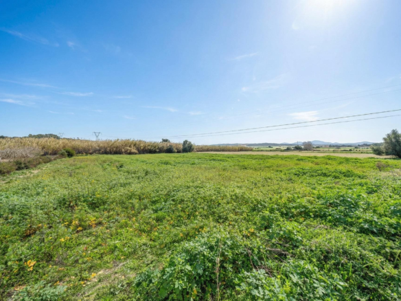 Land In Llubi, Spain (80 M²)