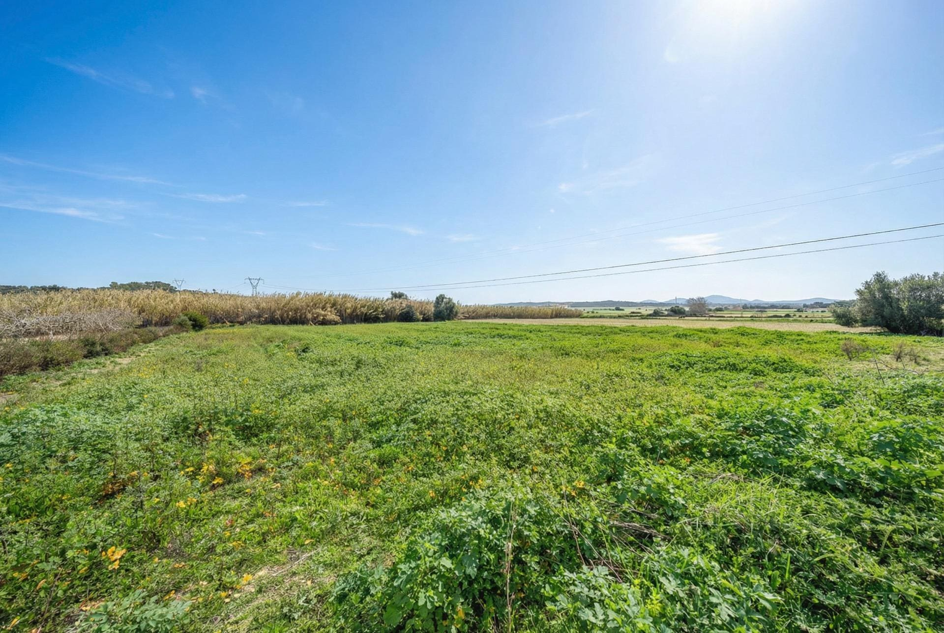Land In Llubi, Spain (80 M²)