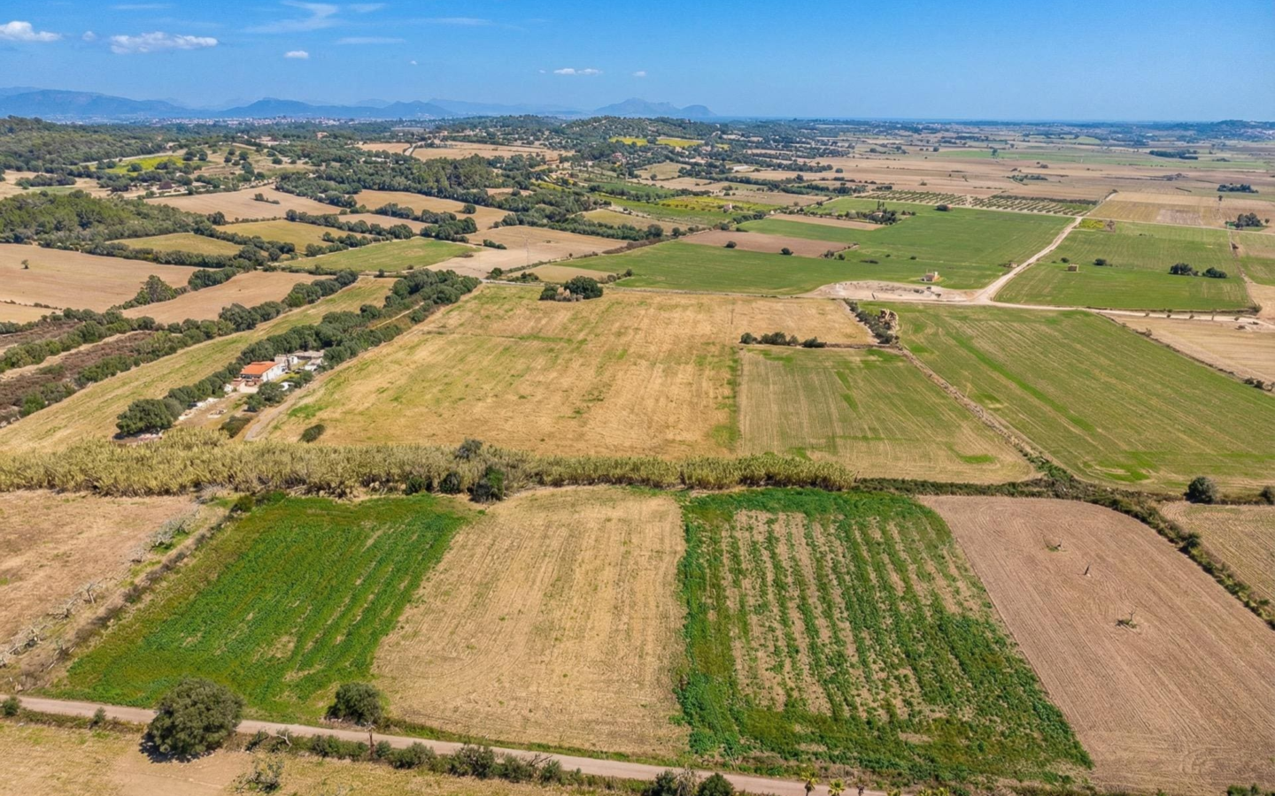 Land In Llubi, Spain (80 M²)