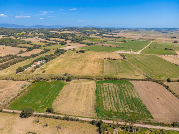 Land In Llubi, Spain (80 M²)