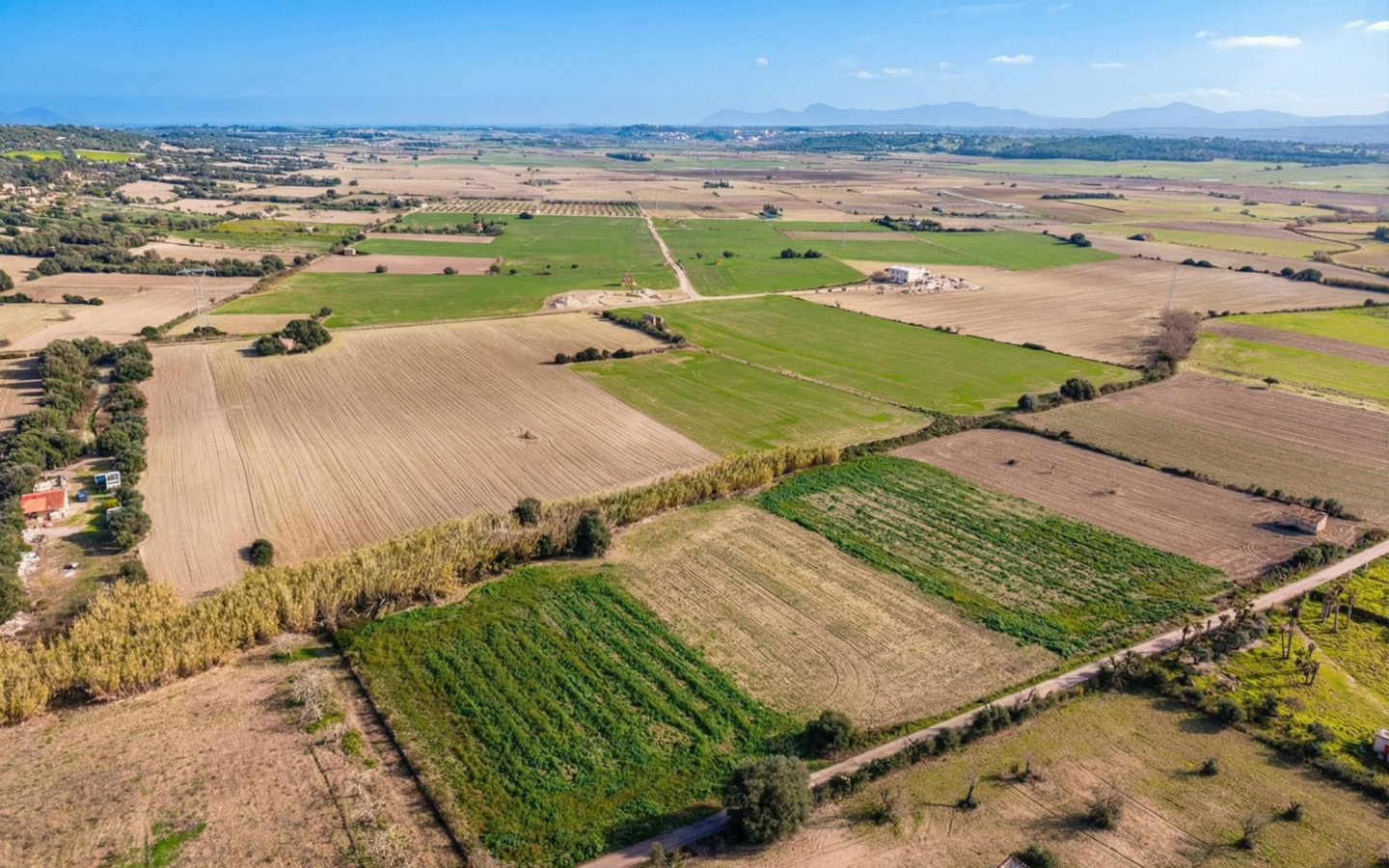 Land In Llubi, Spain (80 M²)